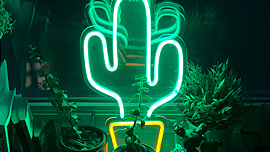 The 5 Best Neon Gadgets and Widgets for your Desk